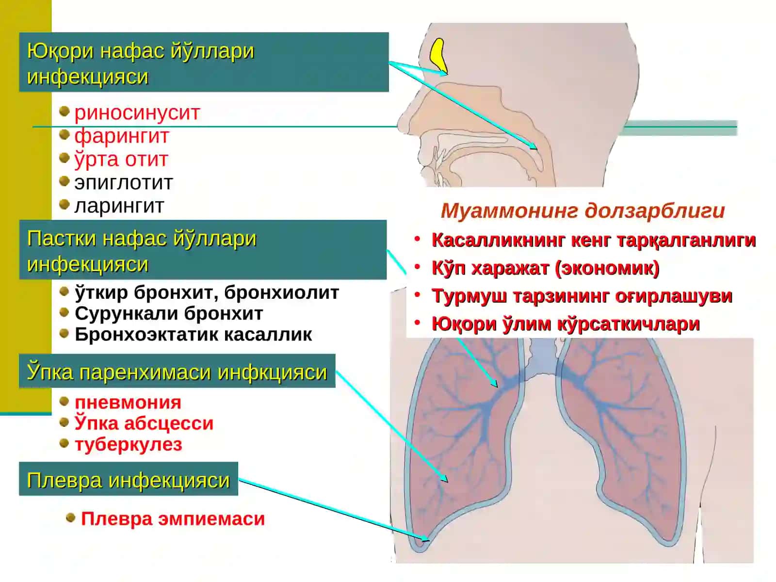 ПНЕВМОНИЯ ТАЪРИФИ 2