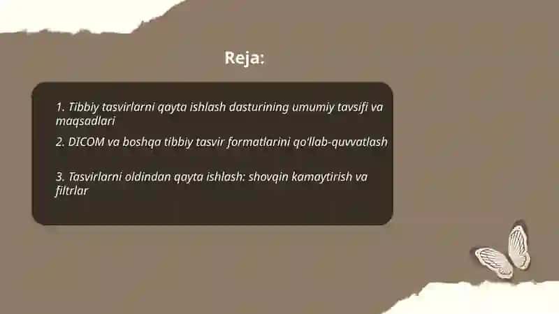 Tibbiy tasvirlarni qayta ishlash dasturi 2
