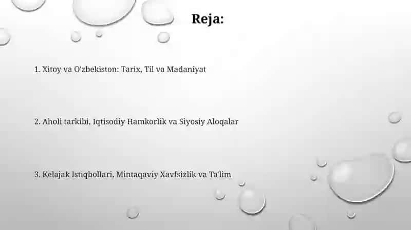 Xitoy va O'zbekiston: Tarix, Til va Madaniyat 2