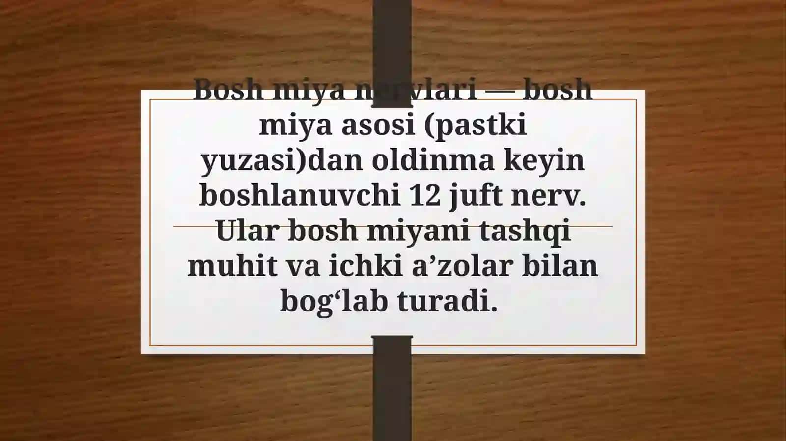 Bosh  miya nervlari 2