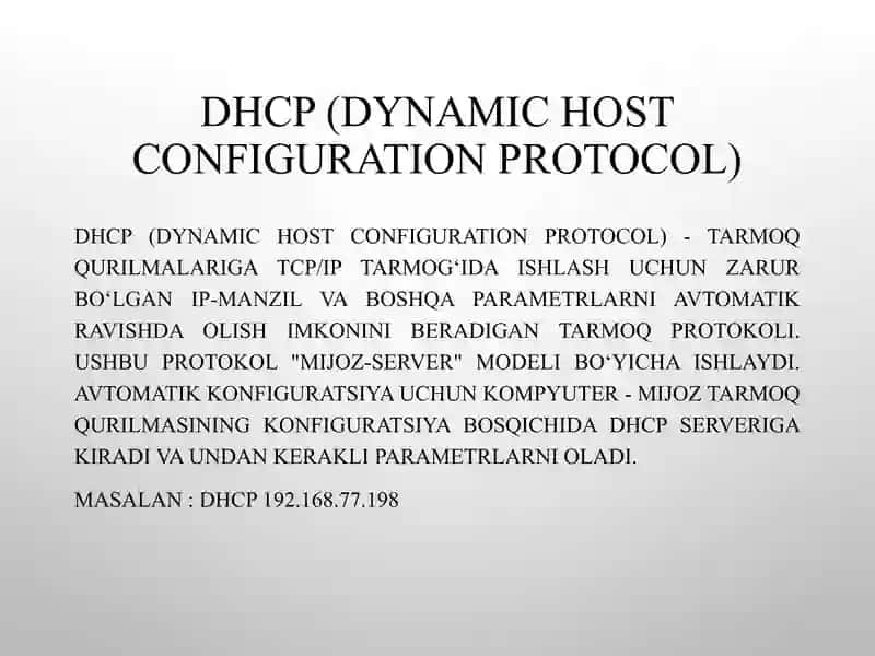 DHCP (Dynamic Host Configuration Protocol) 2