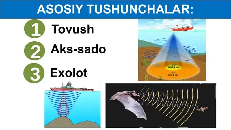Tovushning Qaytishi. Aks-sado 2
