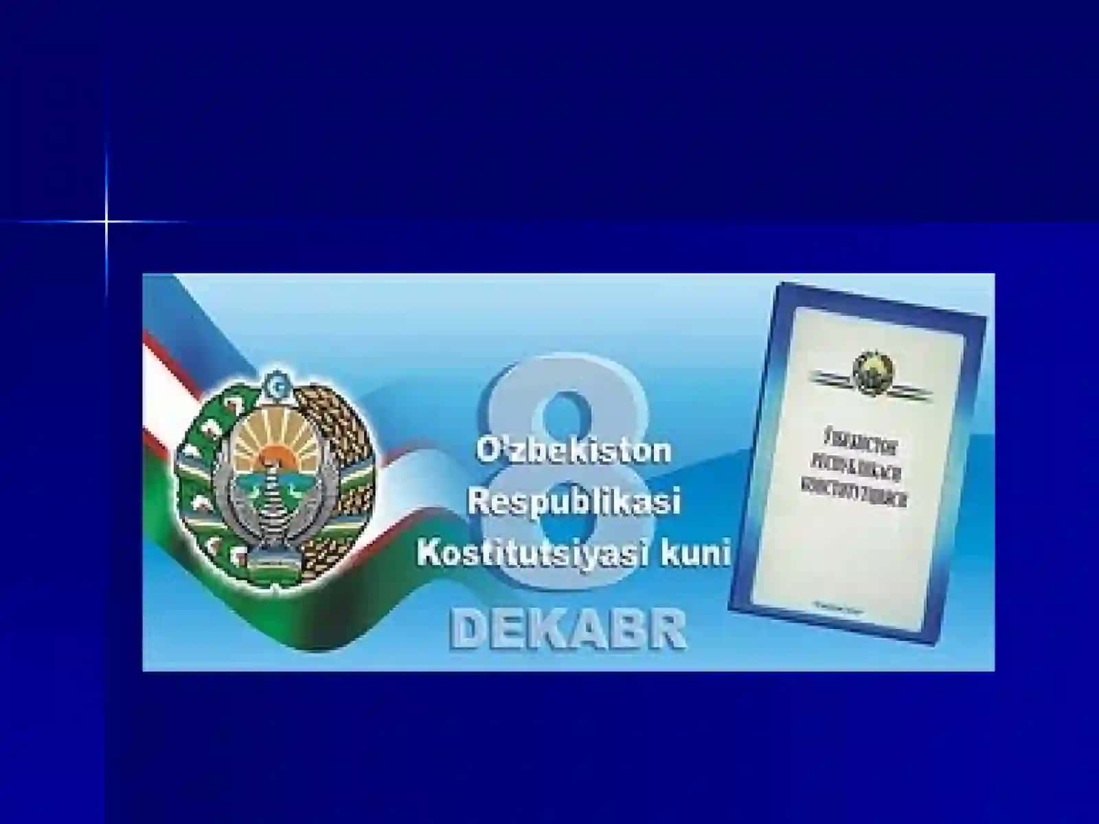 Konstitutsiya tushunchasi va mohiyati 2