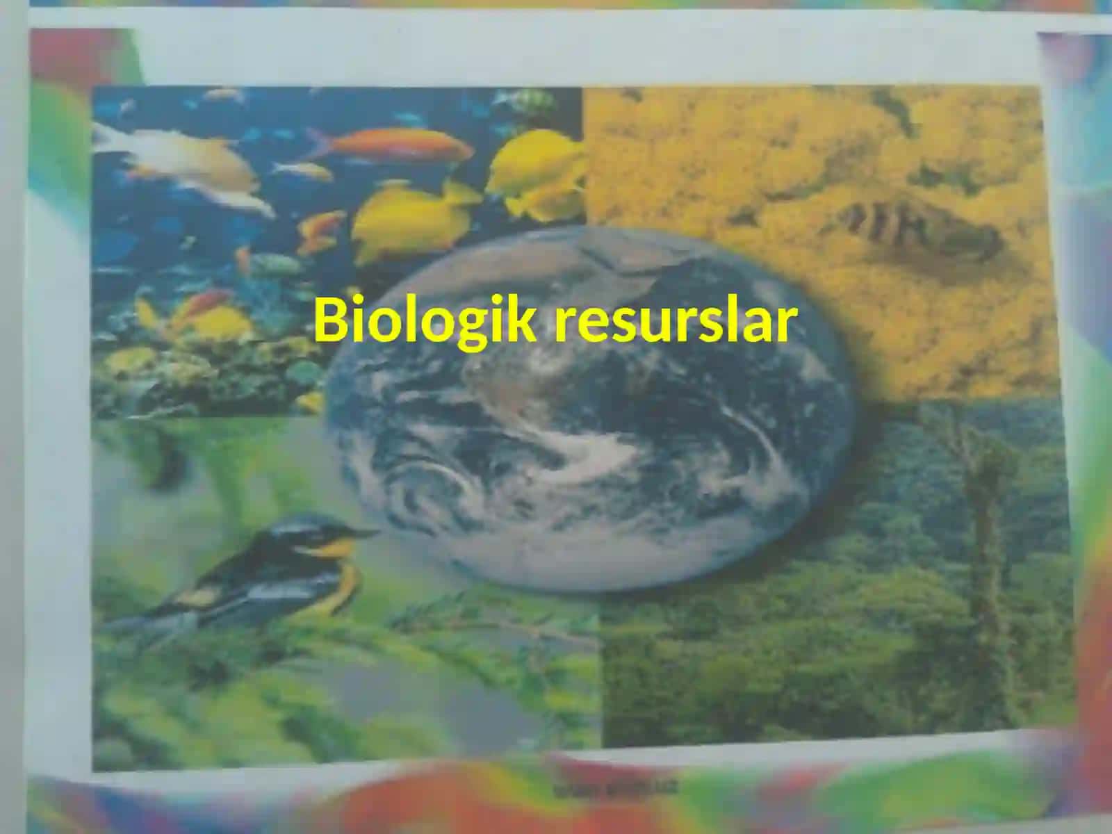 Biologik resurslar 2