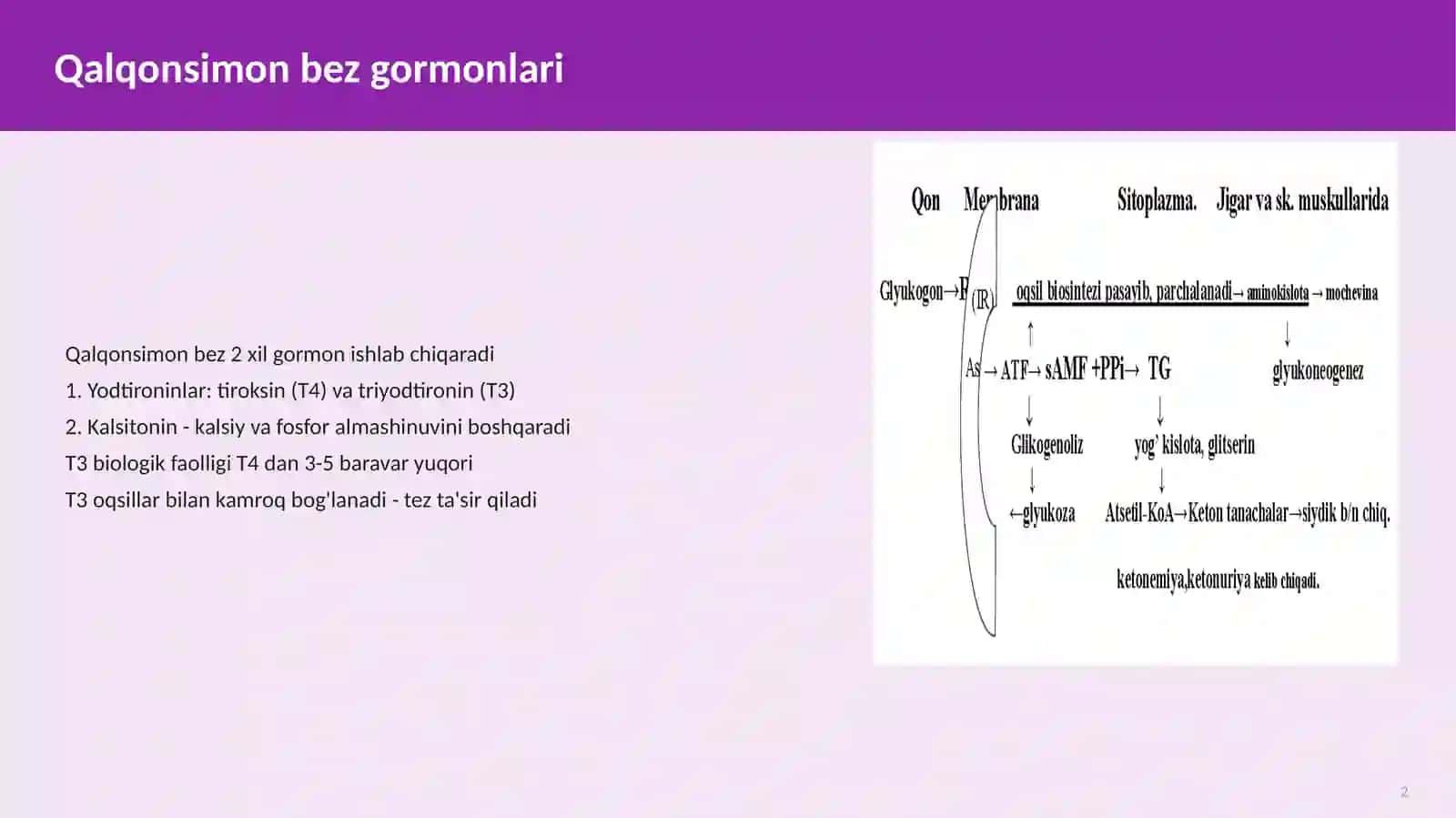 Endokrin Tizimi Biokimyosi 2