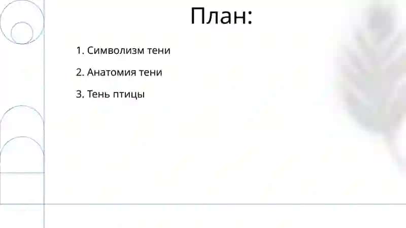Тень птицы 2