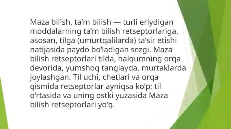 Ta’m Bilish Azolarining Funksional Anatomiyasi 2
