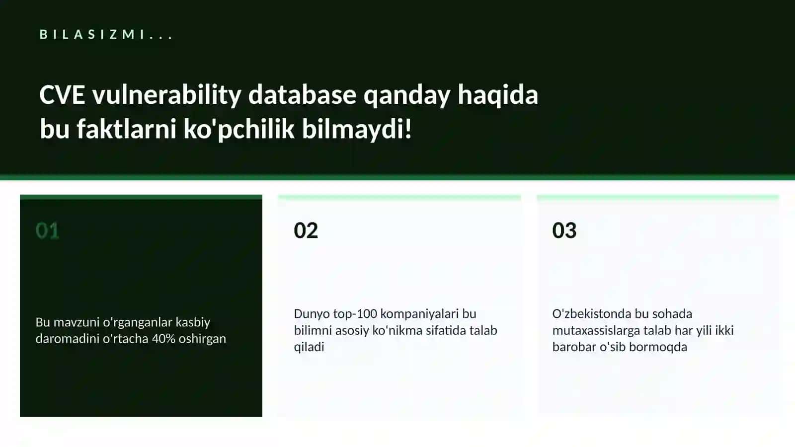 CVE vulnerability database qanday 2