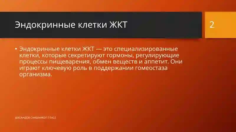 Эндокринные клетки ЖКТ 2
