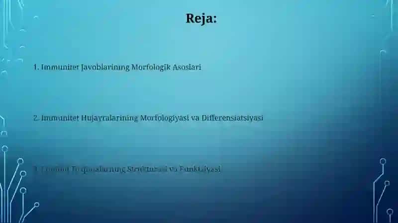 Suyak koʻmigining morfologik asoslari 2