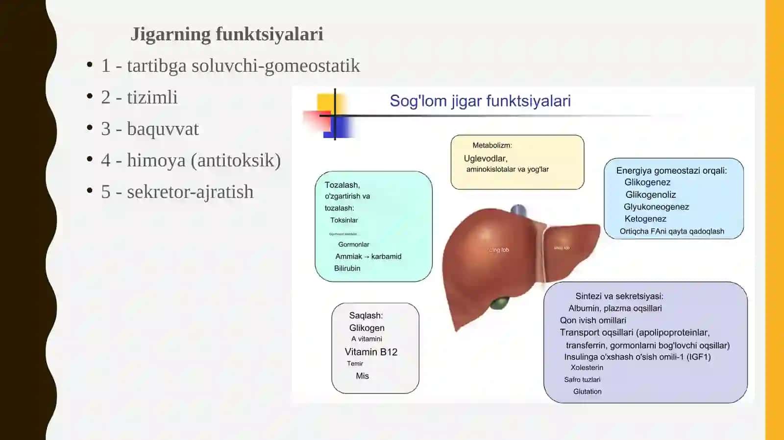 Jigarning funktsiyalari 2