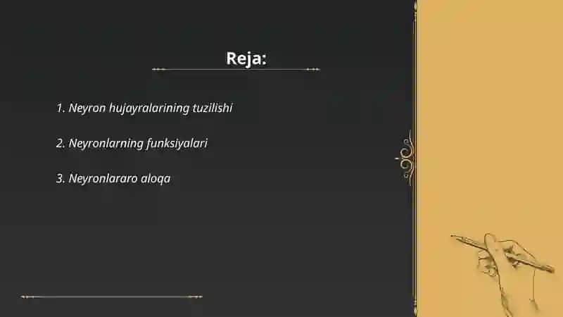 Neyron hujayrasi 2