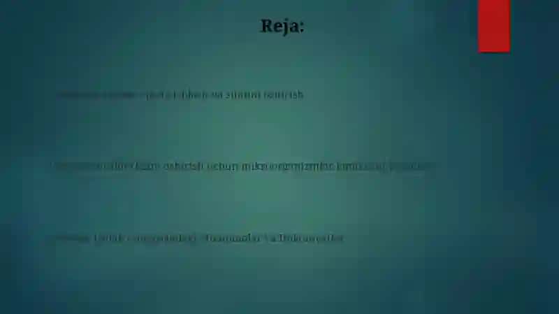 Biogaz olish biotexnologiyasi 2