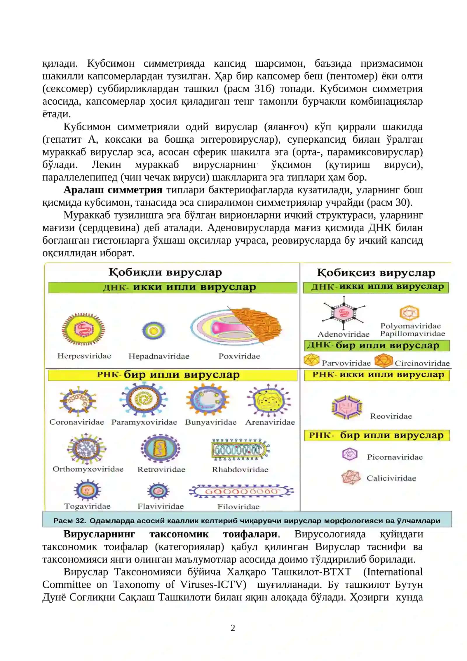 Умумий вирусалогия 2