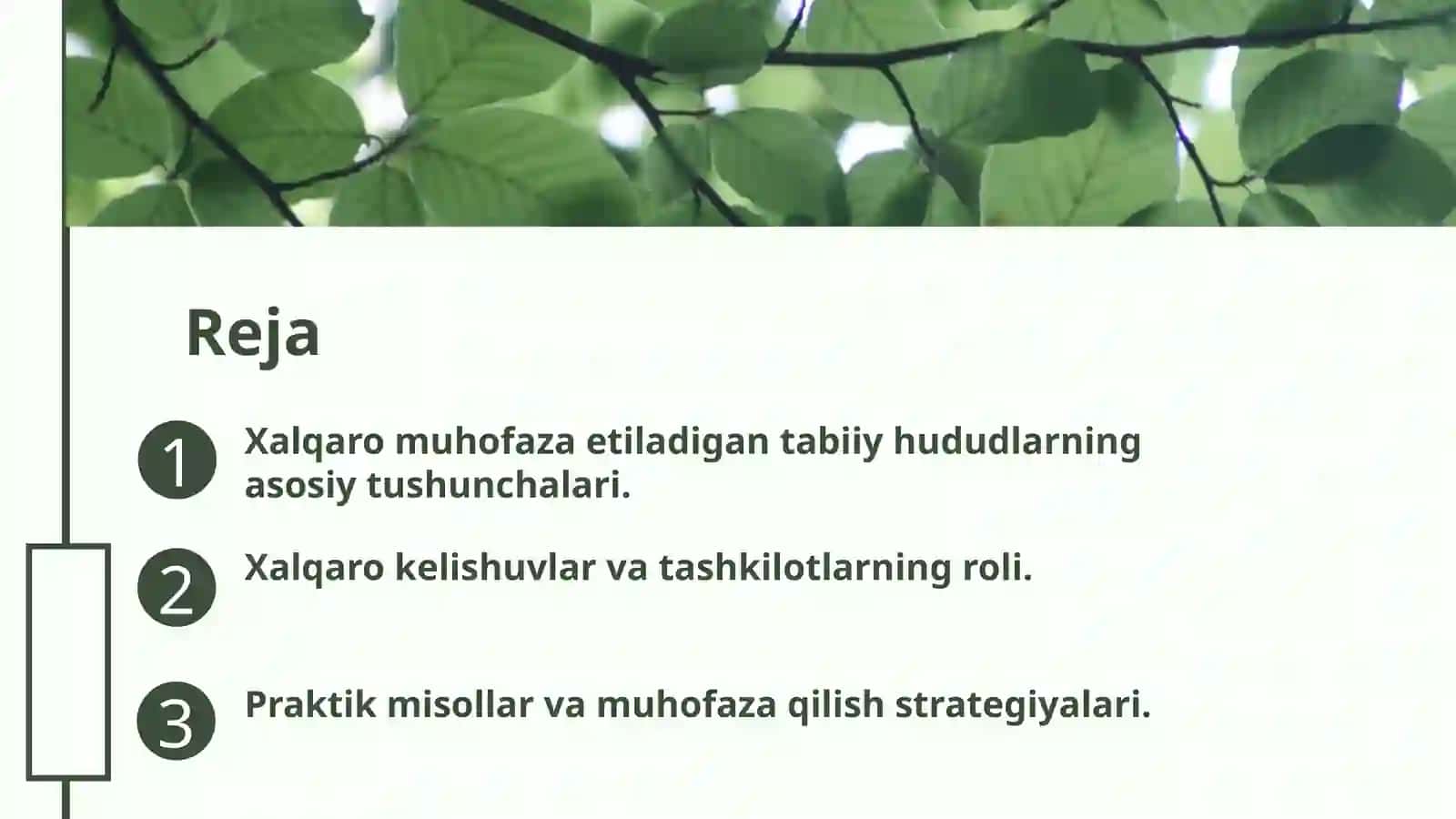Xalqaro muhofaza etiladigan tabiiy hududlar 2