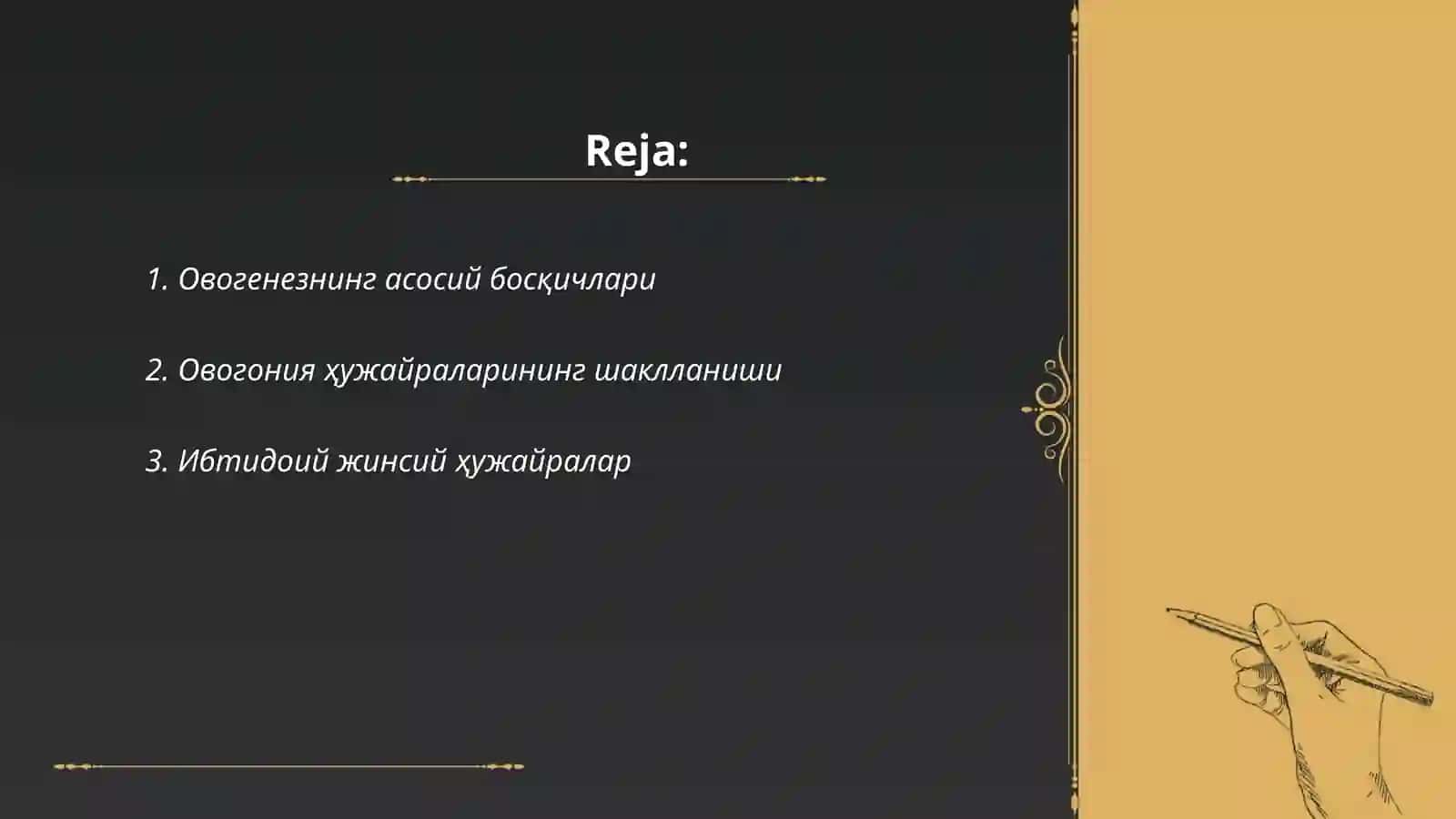 Овогенез процесси 2