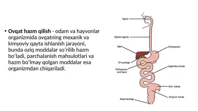 Hazmlanish jarayoning boshqariluvi 2