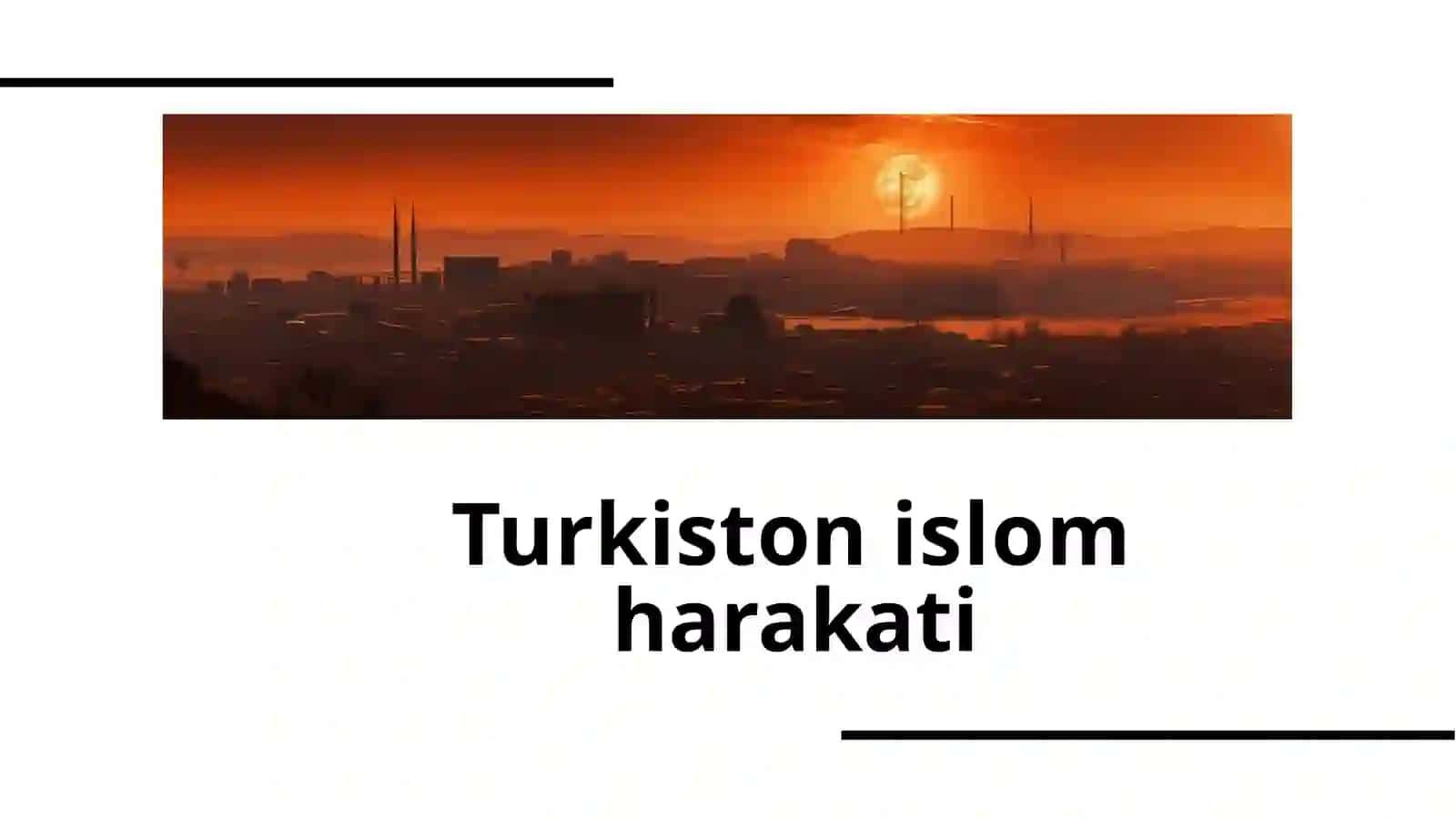 Turkiston islom harakati 2