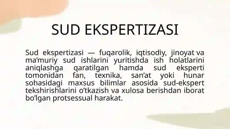 SUD-PORTRET EKSPERTIZASI 2