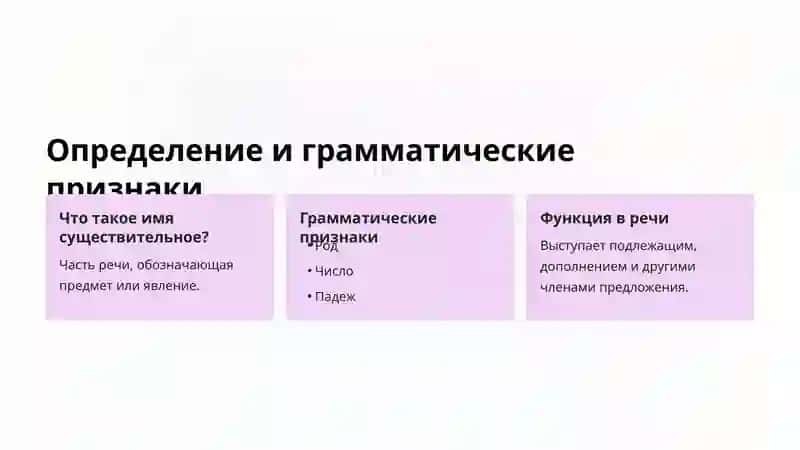 Роль и значение имен существительных 2