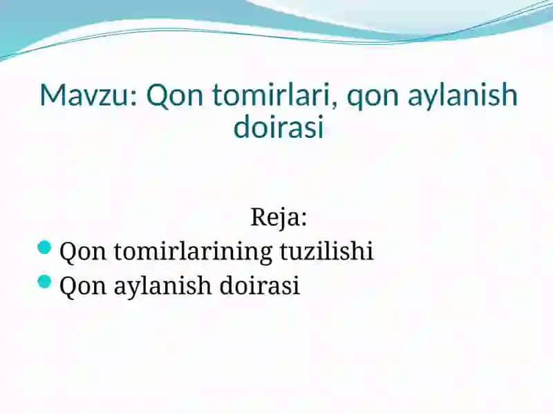 Qontomirlari va arteriyalar tuzilishi 2