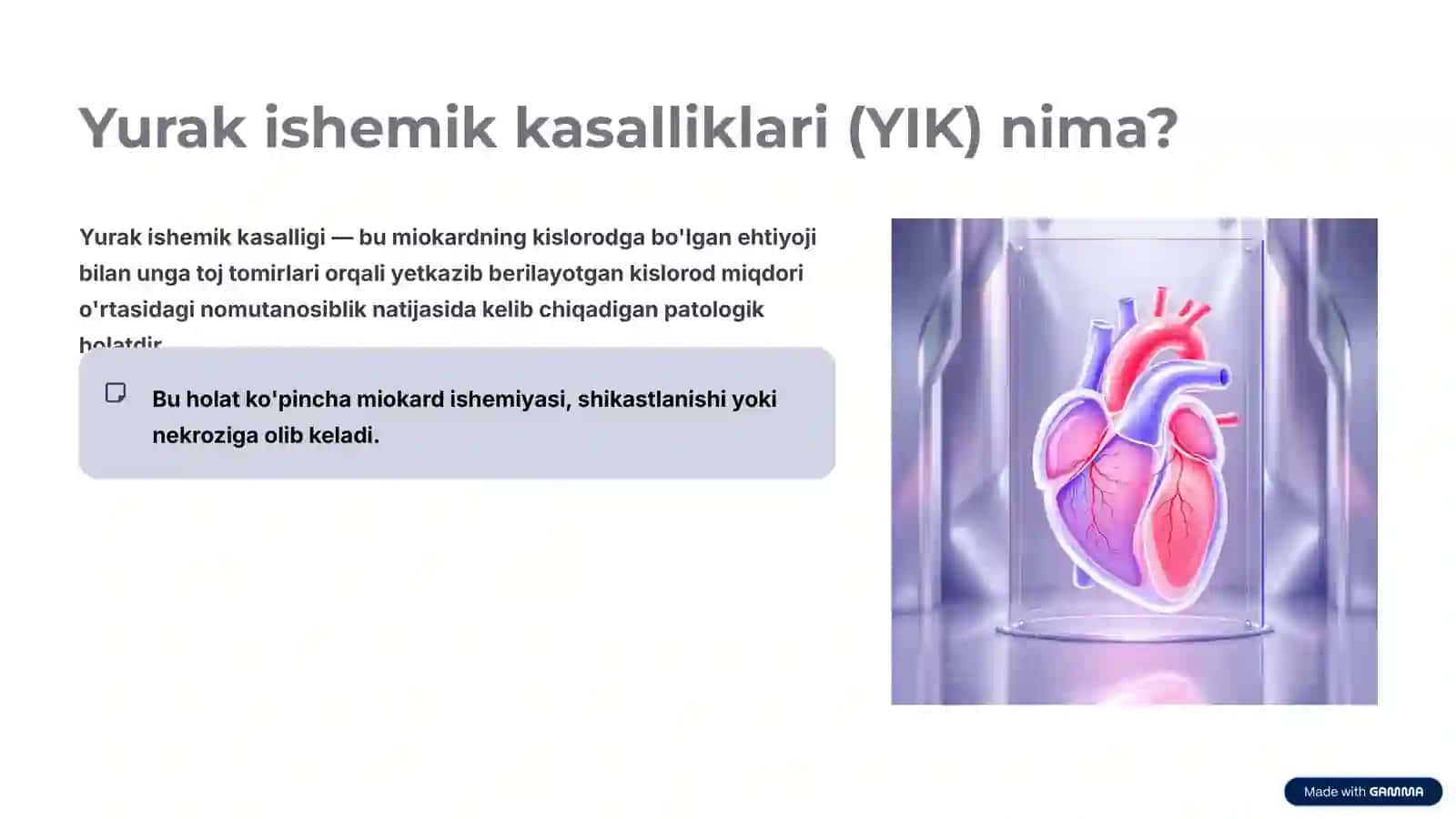 Yurak ishemik kasalliklari 2