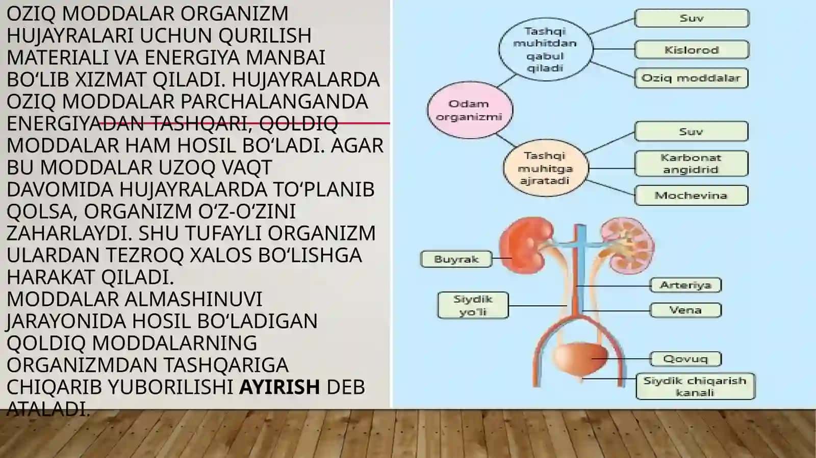 TIRIK ORGANIZMLARNING AYIRISHI 2