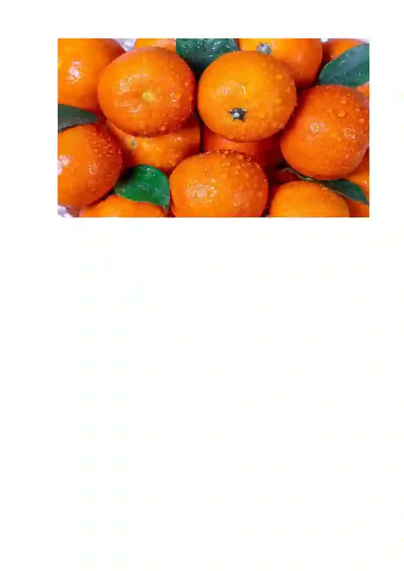 Mandarin o‘simligini parvarishlash 2