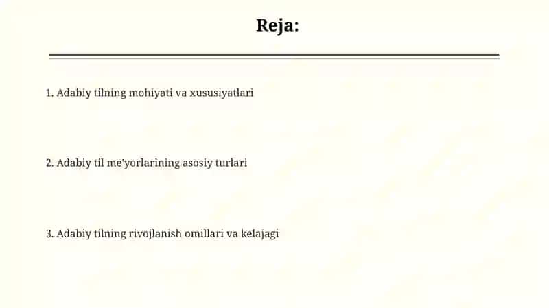 Adabiy til va uning meʼyorlari 2