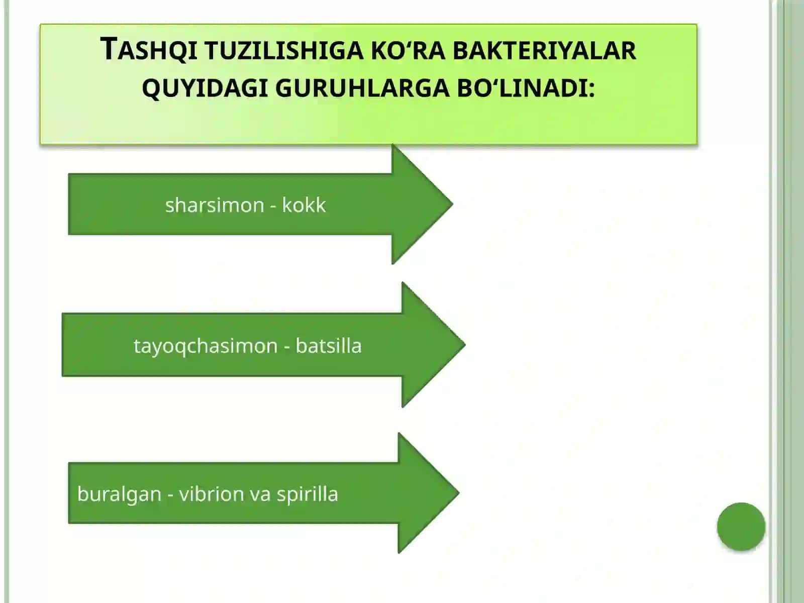 Bakteriyalardunyosi 2