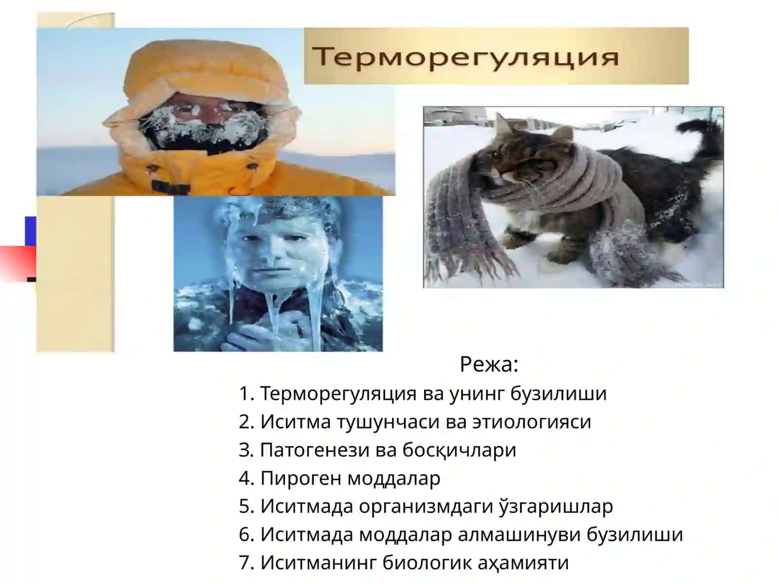 Терморегуляция ва унинг бузилиши 2