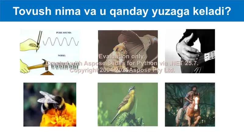 Tovush manbalari va uni qabul qilgichlar 2