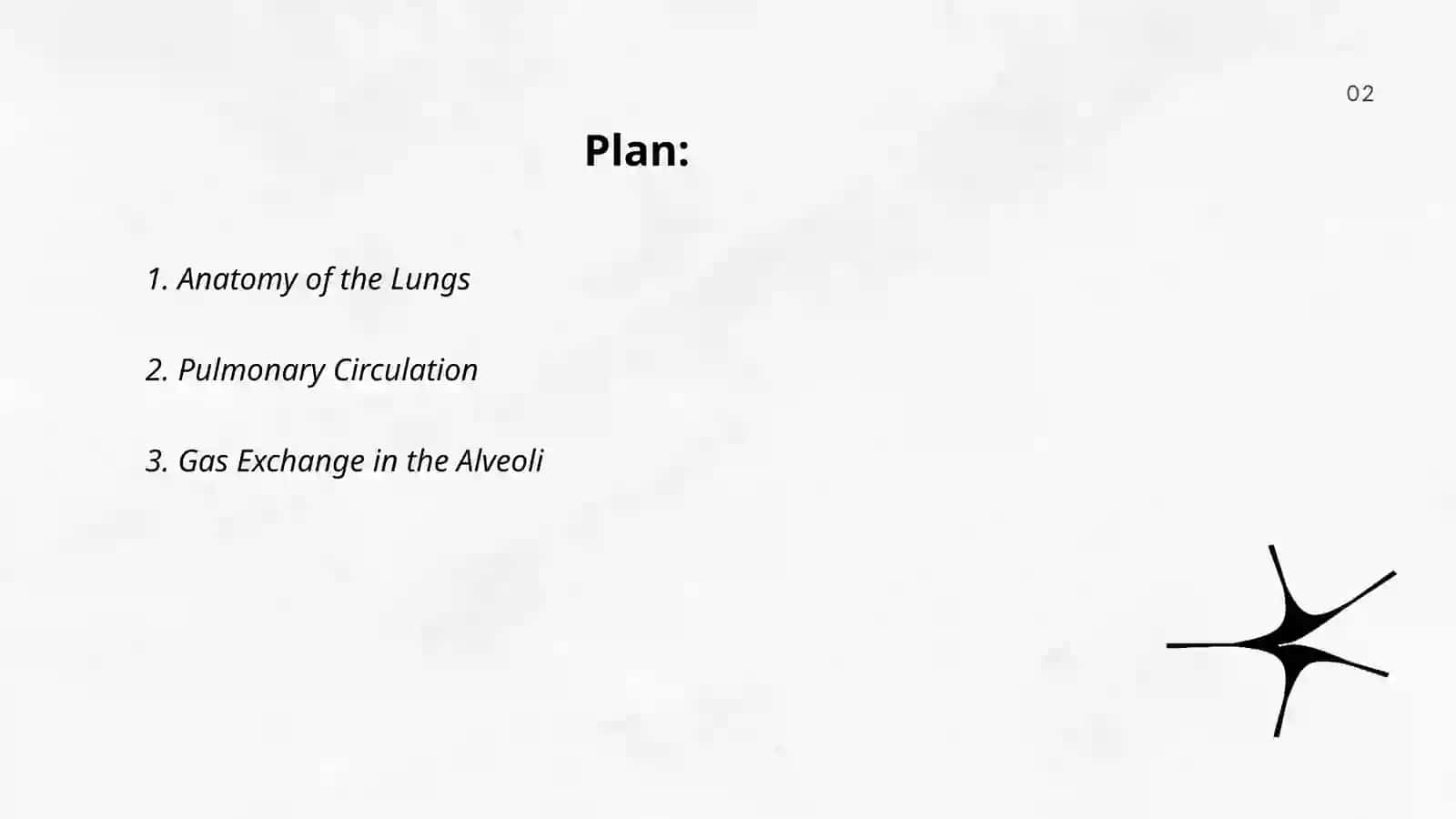 Lungs and a pulmonary system 2