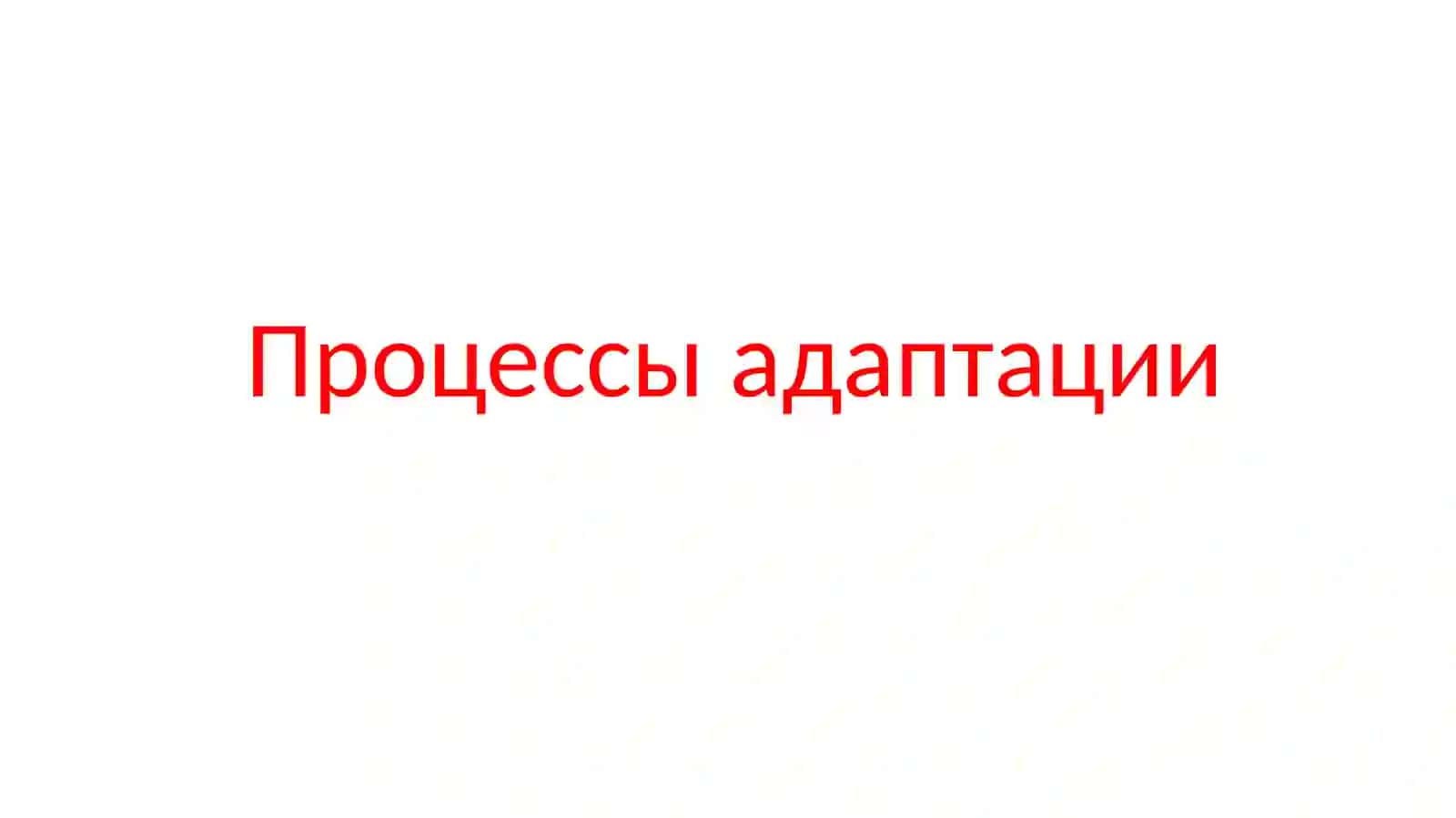 Адаптация 2