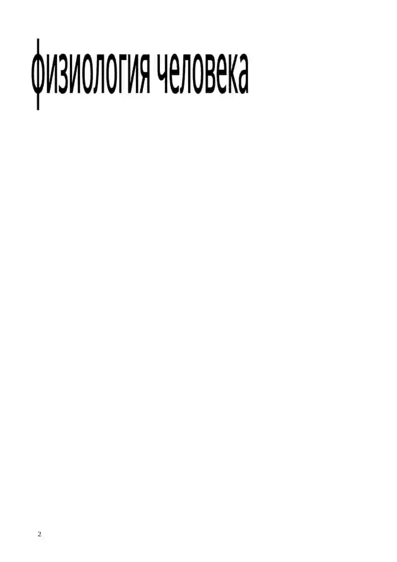 Физиология человека 2