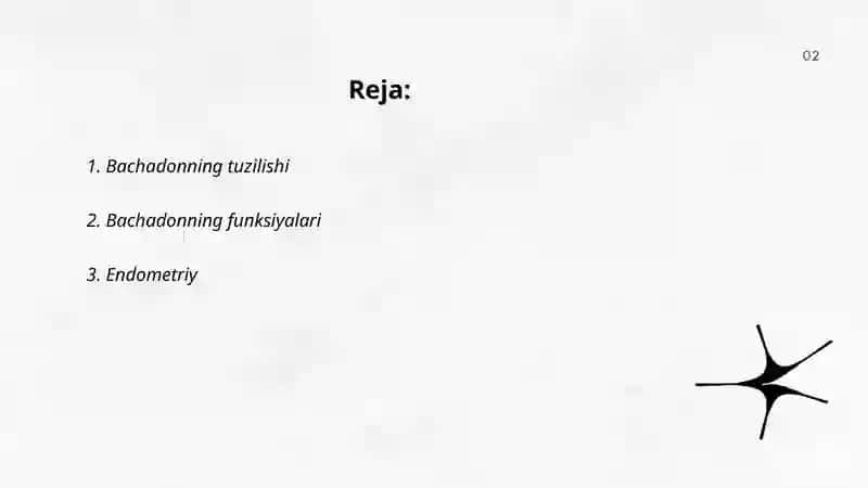 Bachadon anatomiyasi 2