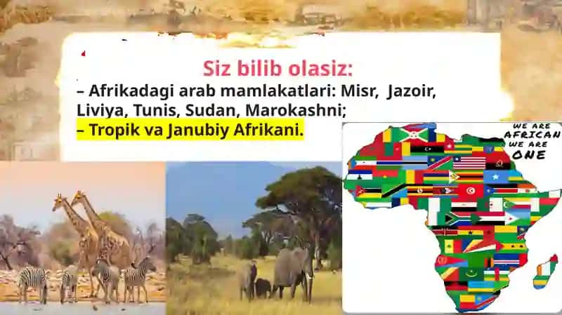 AFRIKA: MUSTAMLAKACHILIKNING BOSHLANISHI 2