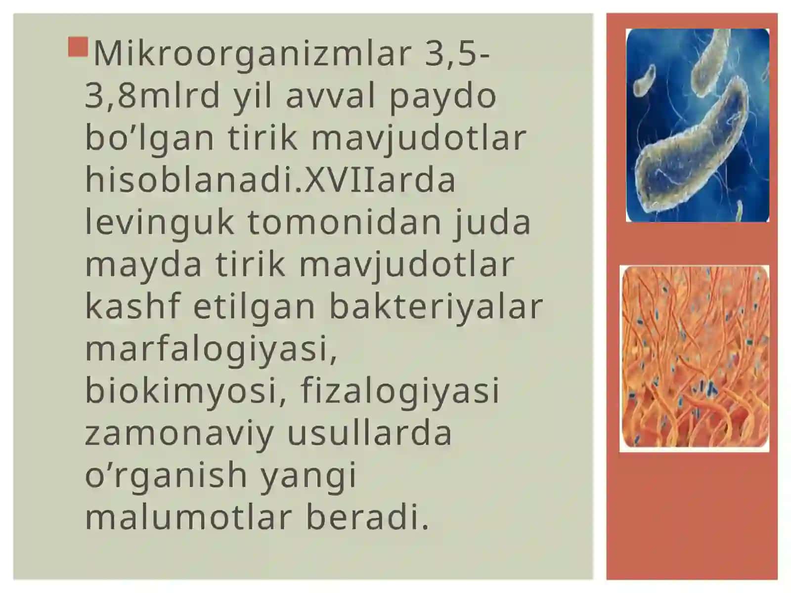 Bakteriyalar haqida umumiy malumot 2