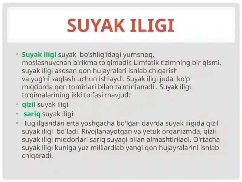 Suyak iligirivojlanishi 2