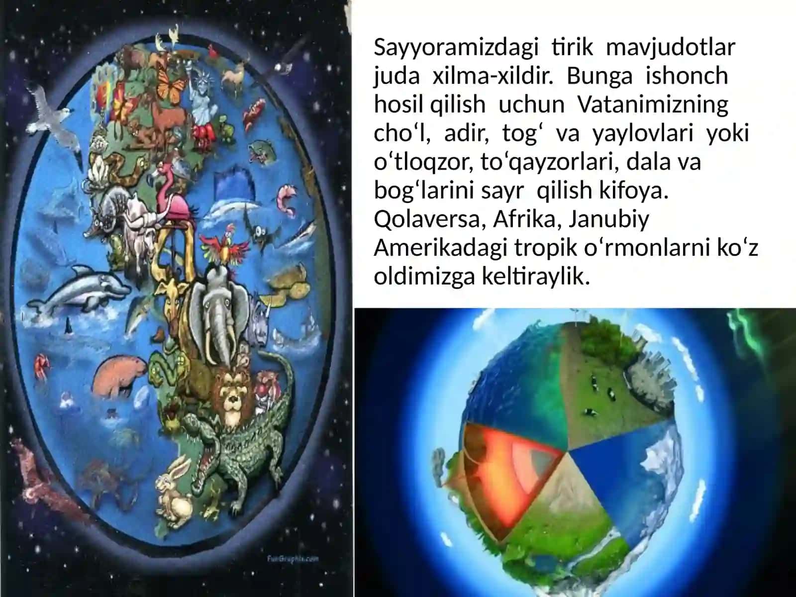 §.Tirik organizmlarning o‘ziga xos xususiyatlari 2