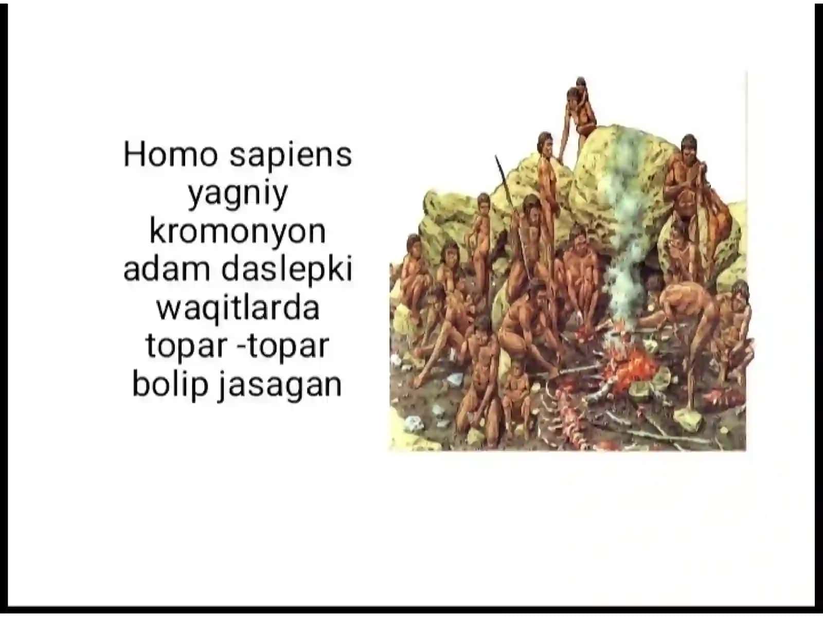 Homo sapiens sapiens evolyutsiyasi 2