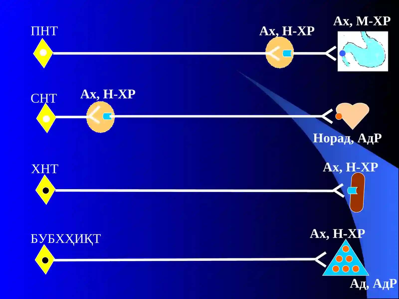 Адреномиметиклар. Симпатомиметиклар 2