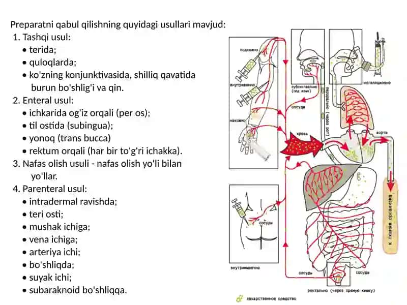 Dorivositalarini qo’llash usullari 2