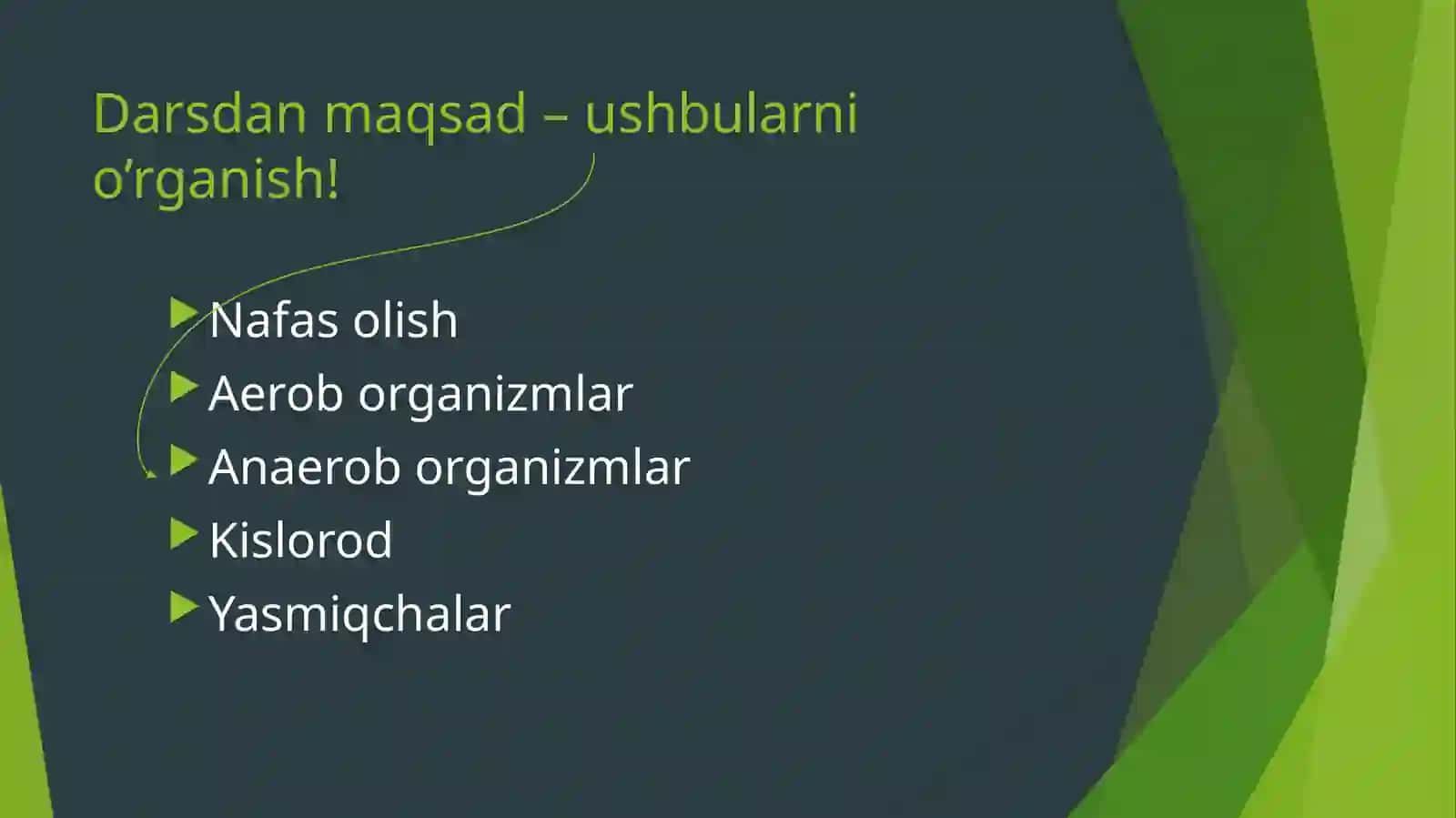 O‘SIMLIKLARNING NAFAS OLISHI 2