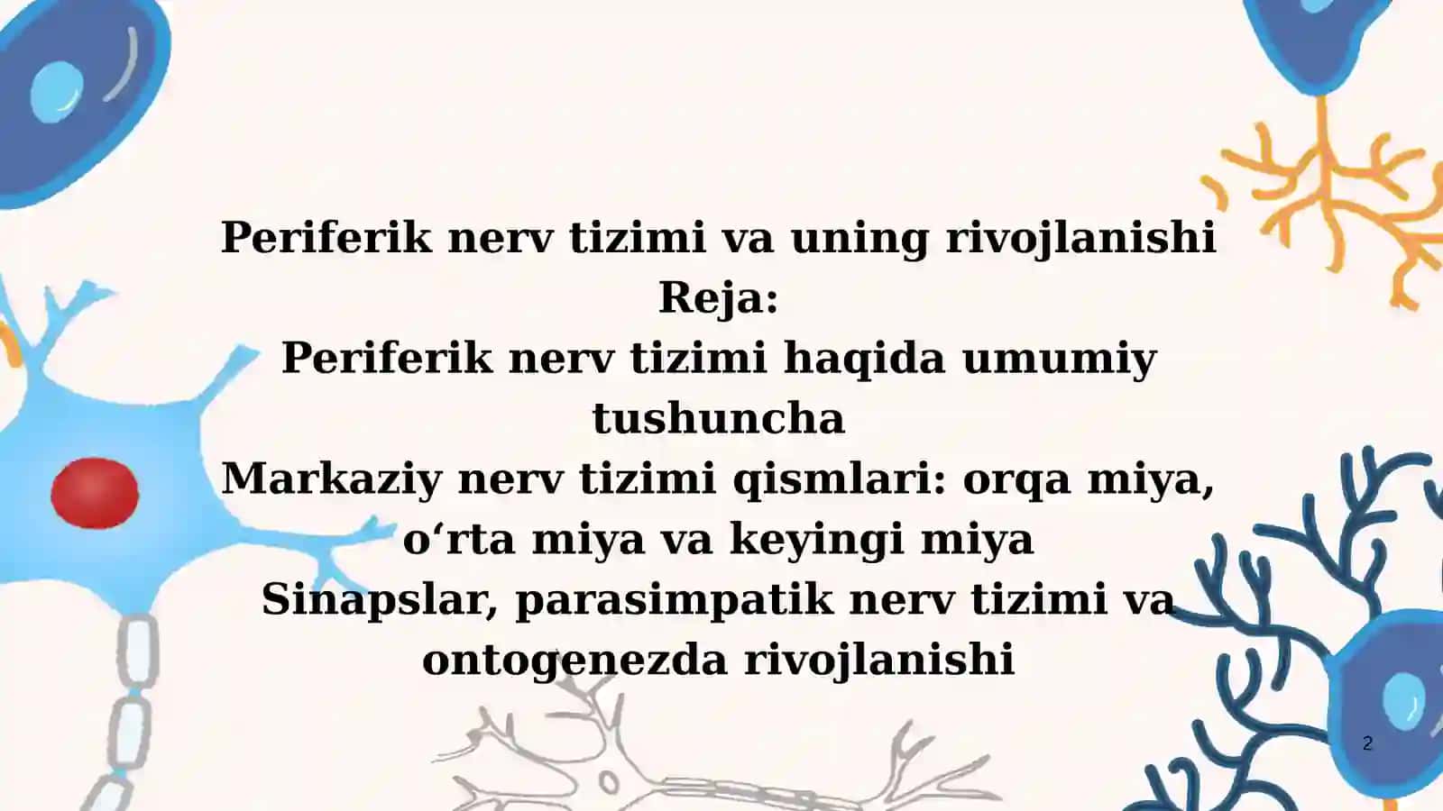 Periferik nerv tizimi va uning rivojlanishi 2