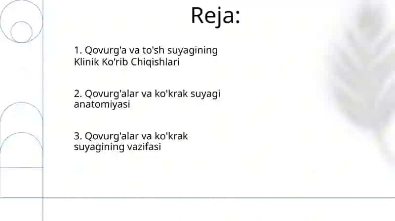 Qovurgalar va tosh suyagi 2