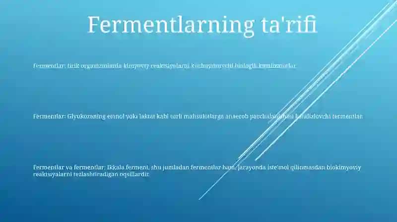 Fermentlar 2