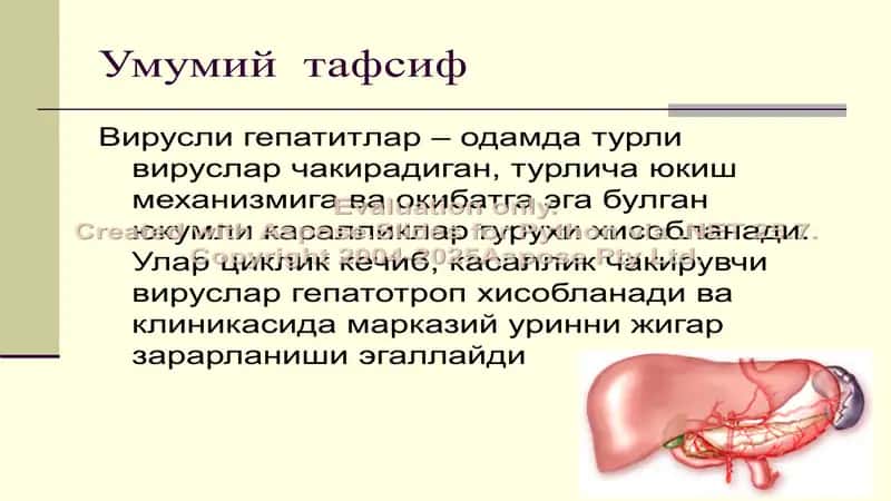ВИРУСЛИ ГЕПАТИТЛАР 2