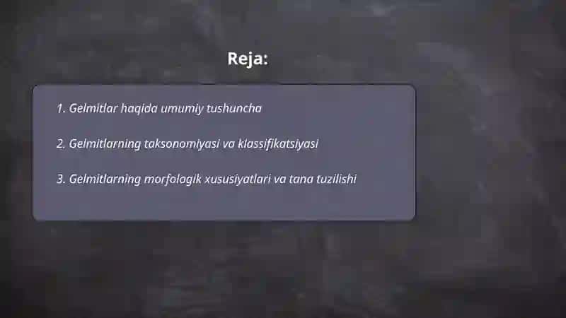 Gelmitlar haqida tushuncha 2