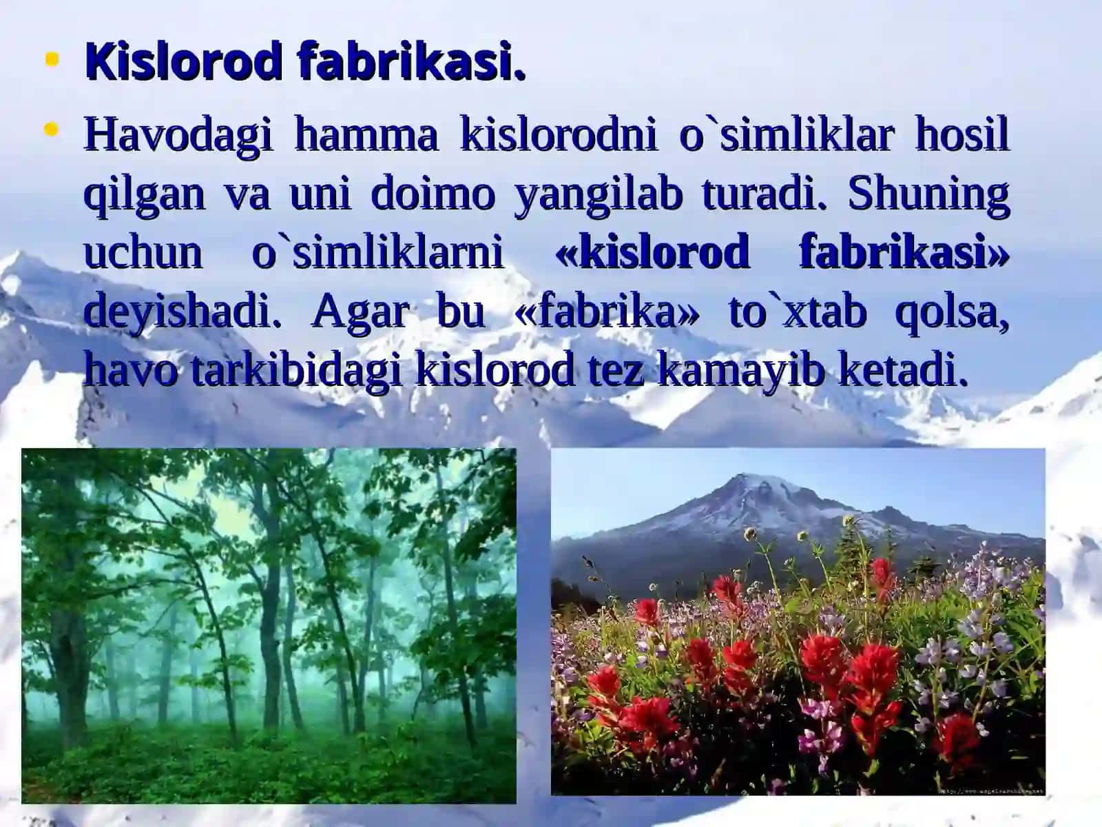 Organizmlarning yer qobiqlariga ta'siri 2